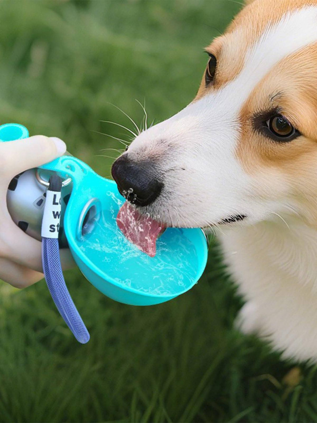 Portable Pet Water Bottle with Foldable Bowl